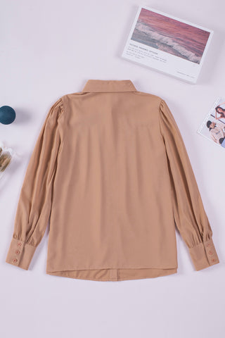 Long Sleeve Blouse with Pleats & Puff Sleeves - 3 Colors