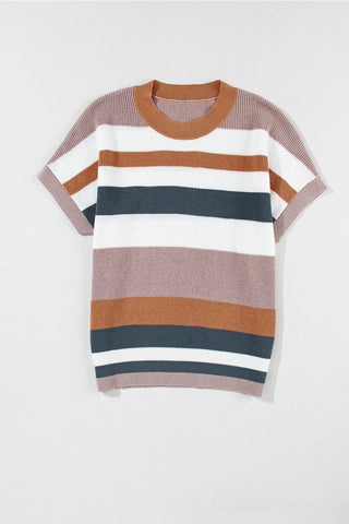 Striped Colorblock Knit Short Sleeve T