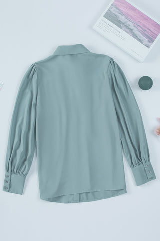 Long Sleeve Blouse with Pleats & Puff Sleeves - 3 Colors